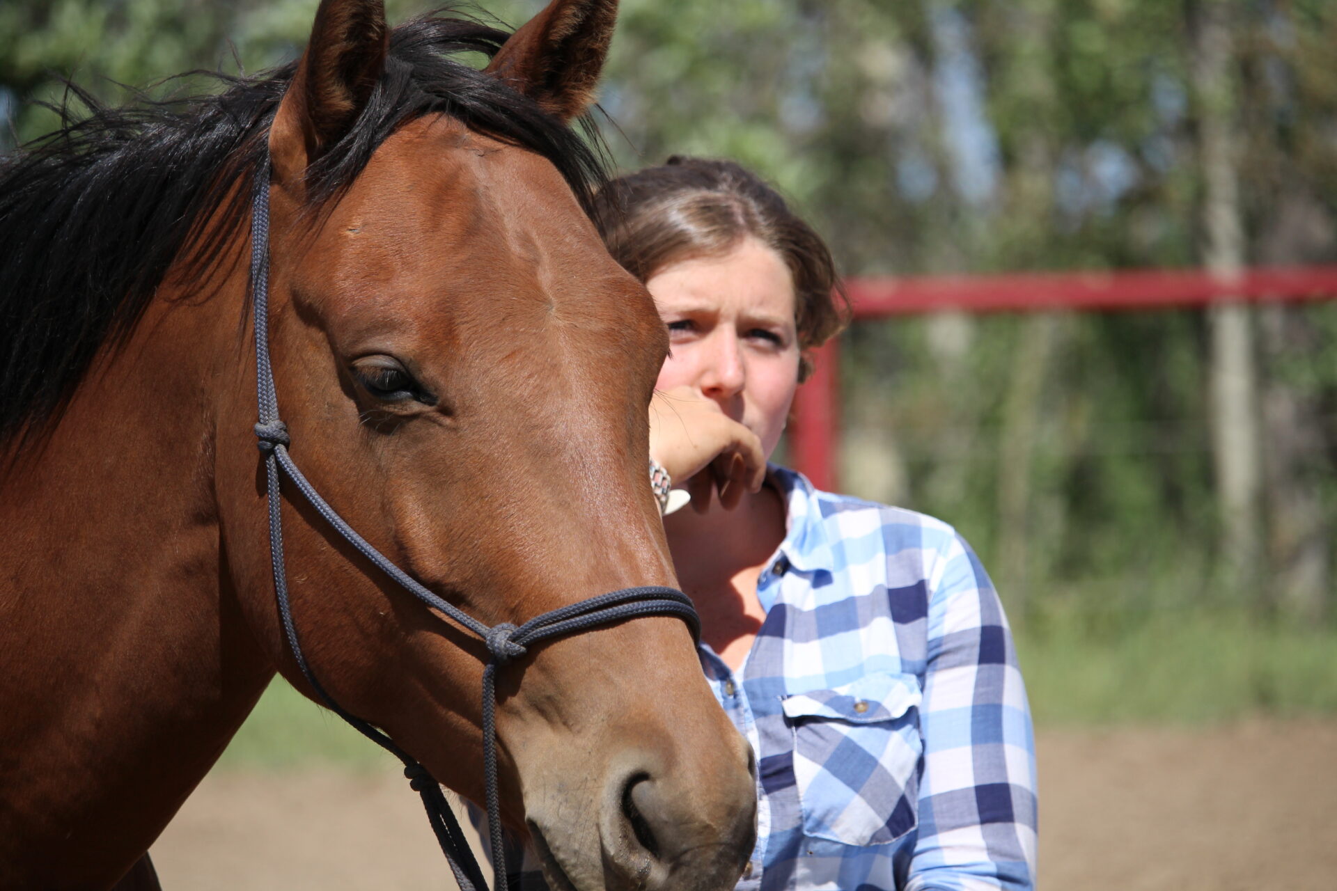Testimonial for The Horse Ranch Community with Glenn Stewart